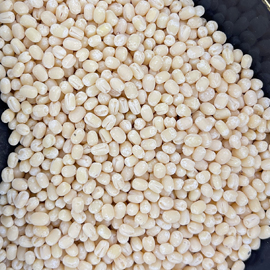 Urad Dal / Black Gram